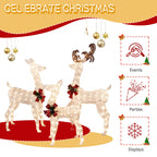 Walsunny LED Lighted Christmas Deer Family Display Set